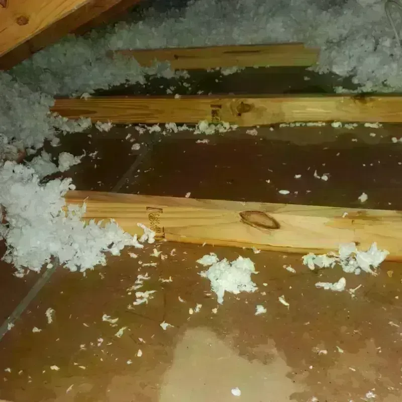 Attic Water Damage in Aliceville, AL