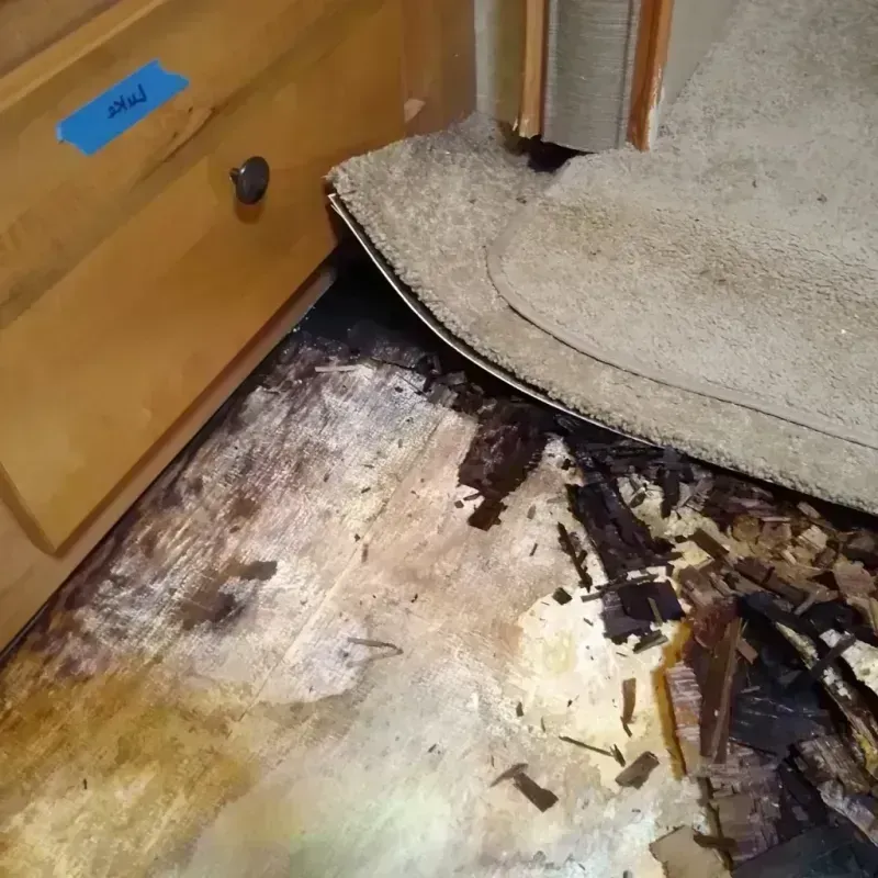 Wood Floor Water Damage in Aliceville, AL